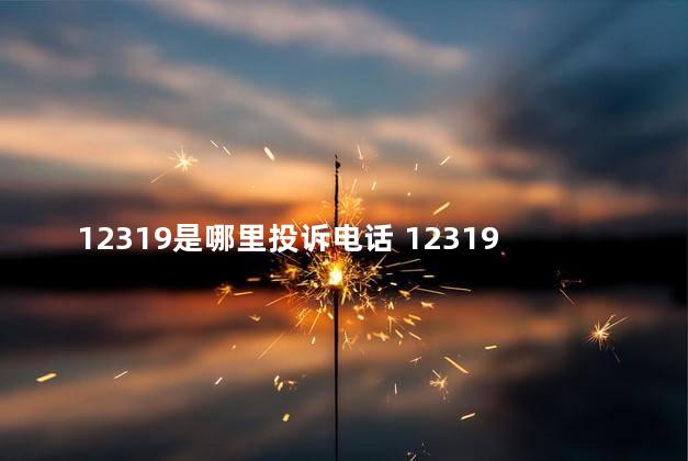 12319是哪里投诉电话 12319可以举报哪些东西